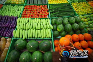 ?？趩悠絻r菜投放計劃 每日200噸保供應(yīng)穩(wěn)價格